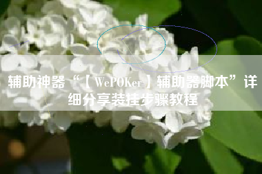 辅助神器“【WePOKer】辅助器脚本	”详细分享装挂步骤教程