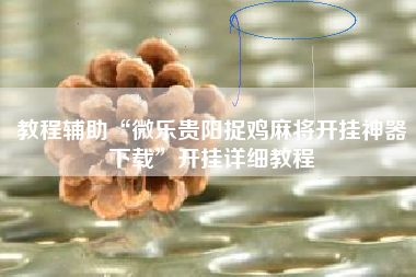 教程辅助“微乐贵阳捉鸡麻将开挂神器下载	”开挂详细教程