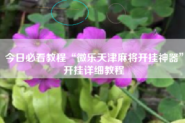 今日必看教程“微乐天津麻将开挂神器”开挂详细教程