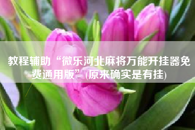 教程辅助“微乐河北麻将万能开挂器免费通用版”(原来确实是有挂) 教程辅助“微乐河北麻将万能开挂器免费通用版”(原来确实是有挂)