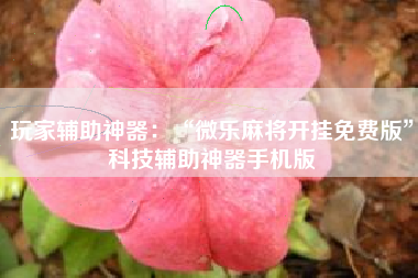 玩家辅助神器：“微乐麻将开挂免费版”科技辅助神器手机版