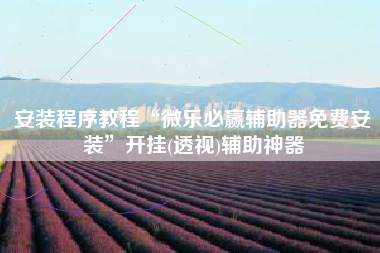 安装程序教程“微乐必赢辅助器免费安装	”开挂(透视)辅助神器