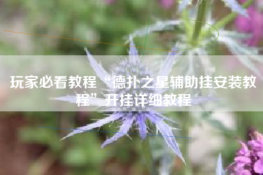 玩家必看教程“德扑之星辅助挂安装教程”开挂详细教程
