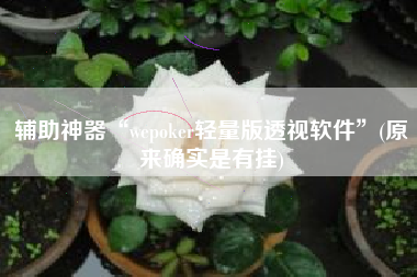 辅助神器“wepoker轻量版透视软件	”(原来确实是有挂)