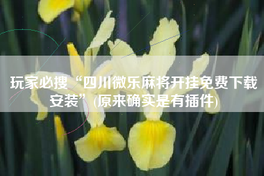 玩家必搜“四川微乐麻将开挂免费下载安装”(原来确实是有插件)