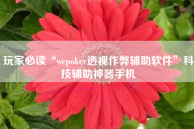 玩家必读“wepoker透视作弊辅助软件”科技辅助神器手机 玩家必读“wepoker透视作弊辅助软件”科技辅助神器手机