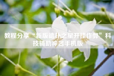 教程分享“新版德扑之星开挂作弊”科技辅助神器手机版