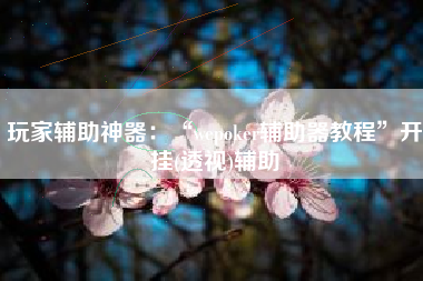 玩家辅助神器：“wepoker辅助器教程”开挂(透视)辅助