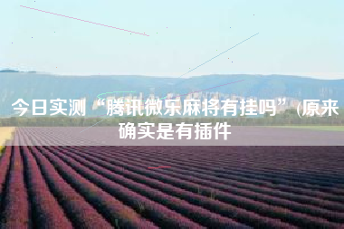 今日实测“腾讯微乐麻将有挂吗”(原来确实是有插件