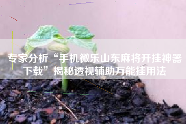 专家分析“手机微乐山东麻将开挂神器下载	”揭秘透视辅助万能挂用法