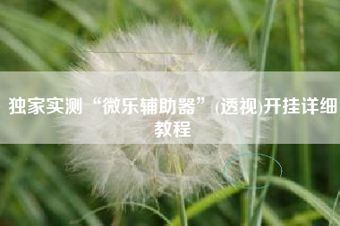 独家实测“微乐辅助器	”(透视)开挂详细教程