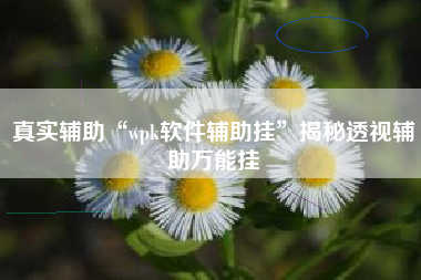 真实辅助“wpk软件辅助挂”揭秘透视辅助万能挂