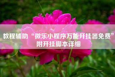 教程辅助“微乐小程序万能开挂器免费	”附开挂脚本详细