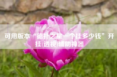 可用版本“德扑之星一个挂多少钱”开挂(透视)辅助神器