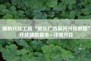 辅助开挂工具“微乐广西麻将开挂教程”开挂辅助脚本+详细开挂