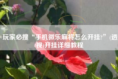 玩家必搜“手机微乐麻将怎么开挂?”(透视)开挂详细教程