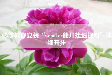 必学教你安装“wepoker能开挂透视吗”详细开挂