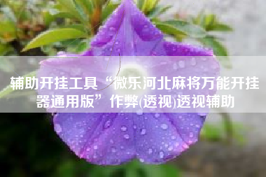 辅助开挂工具“微乐河北麻将万能开挂器通用版”作弊(透视)透视辅助