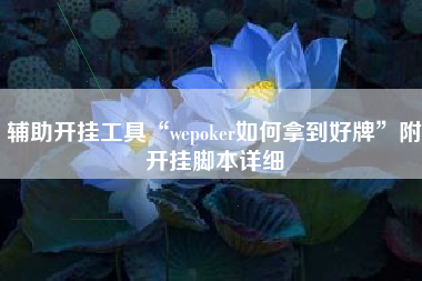 辅助开挂工具“wepoker如何拿到好牌	”附开挂脚本详细