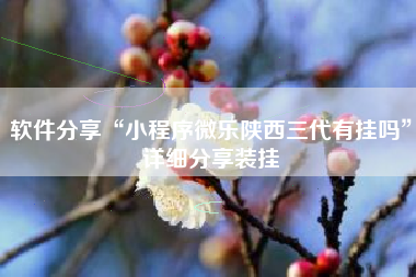 软件分享“小程序微乐陕西三代有挂吗	”详细分享装挂