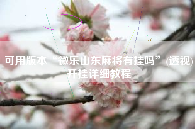 可用版本“微乐山东麻将有挂吗	”(透视)开挂详细教程