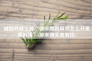 辅助开挂工具“微乐南昌麻将怎么开免费的挂”(原来确实是有挂)