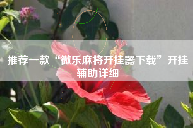 推荐一款“微乐麻将开挂器下载	”开挂辅助详细