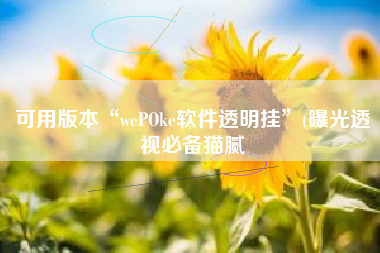 可用版本“wePOke软件透明挂”(曝光透视必备猫腻