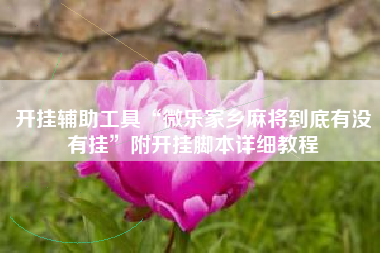 开挂辅助工具“微乐家乡麻将到底有没有挂	”附开挂脚本详细教程