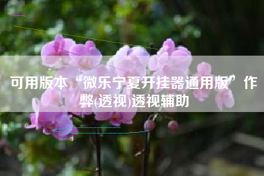 可用版本“微乐宁夏开挂器通用版”作弊(透视)透视辅助