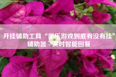 开挂辅助工具“微乐游戏到底有没有挂”辅助器 - 实时智能回复