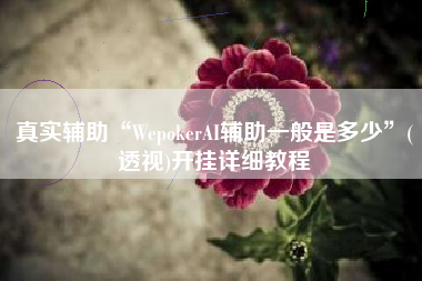 真实辅助“WepokerAI辅助一般是多少”(透视)开挂详细教程