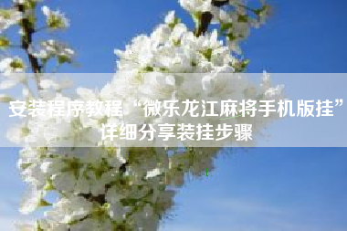 安装程序教程“微乐龙江麻将手机版挂”详细分享装挂步骤