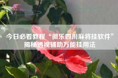 今日必看教程“微乐四川麻将挂软件	”揭秘透视辅助万能挂用法