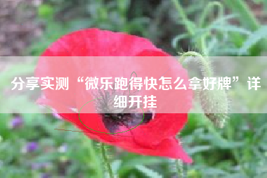 分享实测“微乐跑得快怎么拿好牌”详细开挂 分享实测“微乐跑得快怎么拿好牌”详细开挂