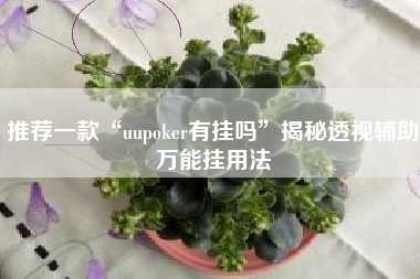 推荐一款“uupoker有挂吗”揭秘透视辅助万能挂用法