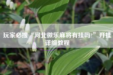 玩家必搜“河北微乐麻将有挂吗?”开挂详细教程