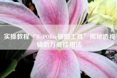 实操教程“WePOKer辅助工具	”揭秘透视辅助万能挂用法