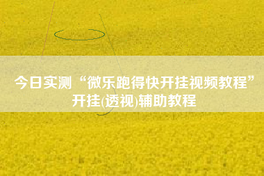 今日实测“微乐跑得快开挂视频教程”开挂(透视)辅助教程