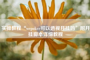 实操教程“wepoker可以透视开挂吗”附开挂脚本详细教程