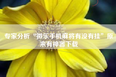专家分析“微乐手机麻将有没有挂	”原来有神器下载