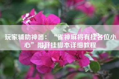 玩家辅助神器：“雀神麻将有挂各位小心	”附开挂脚本详细教程