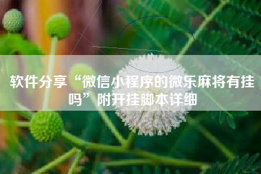 软件分享“微信小程序的微乐麻将有挂吗”附开挂脚本详细