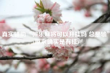 真实辅助“微乐麻将可以开挂吗 总是输”(原来确实是有挂)