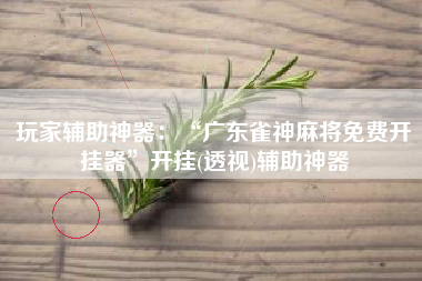 玩家辅助神器：“广东雀神麻将免费开挂器	”开挂(透视)辅助神器