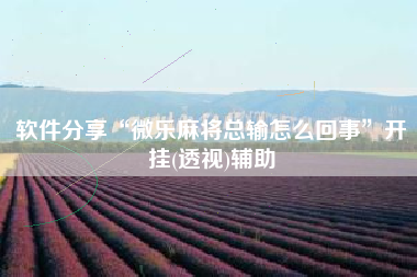 软件分享“微乐麻将总输怎么回事”开挂(透视)辅助