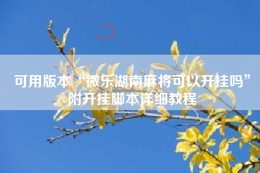 可用版本“微乐湖南麻将可以开挂吗”附开挂脚本详细教程