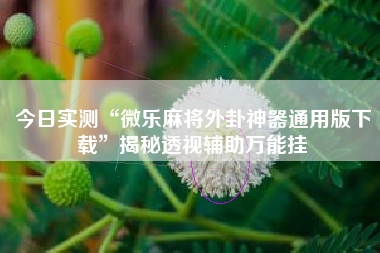今日实测“微乐麻将外卦神器通用版下载”揭秘透视辅助万能挂