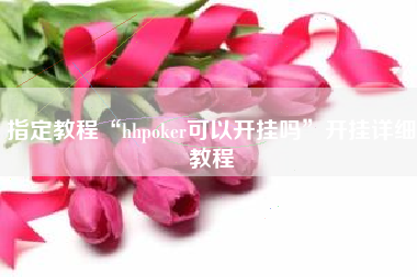 指定教程“hhpoker可以开挂吗”开挂详细教程