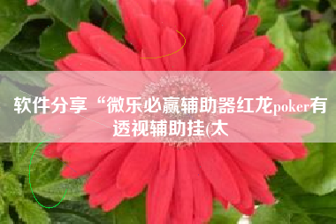 软件分享“微乐必赢辅助器红龙poker有透视辅助挂(太 软件分享“微乐必赢辅助器红龙poker有透视辅助挂(太